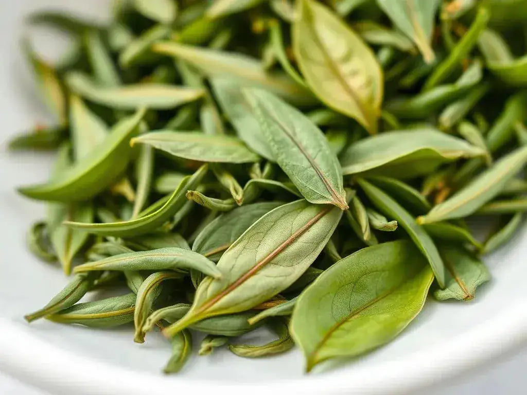 Top Green Teas for Weight Loss: Science-Backed Picks and Benefits
