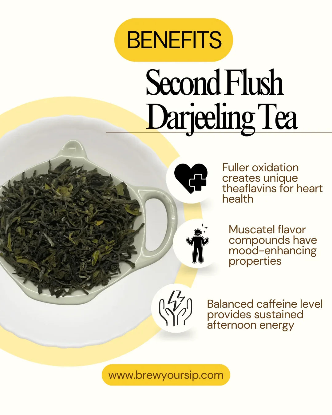 Loose Second Flush Darjeeling Tea leaves placed on tea saucer