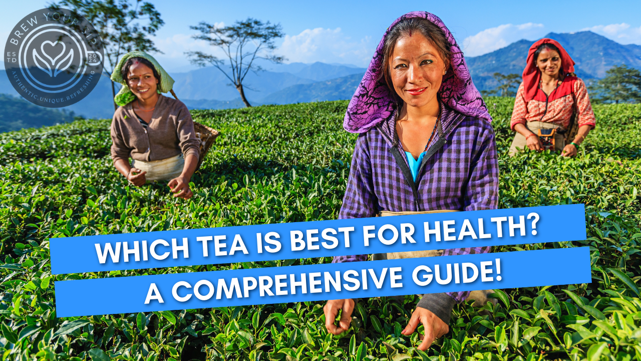 Blue And Green Modern Darjeeling Tea Harvest